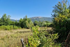 ISTRA, BUZET - Građevinsko zemljište na odličnoj mikrolokaciji, Buzet, Terra