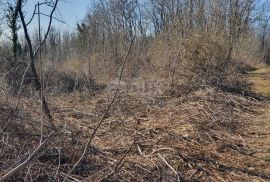 ISTRA, KAROJBA - Građevinska parcela na super lokaciji, Pazin, Land