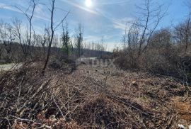 ISTRA, KAROJBA - Građevinska parcela na super lokaciji, Pazin, Land