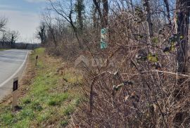 ISTRA, KAROJBA - Građevinska parcela na super lokaciji, Pazin, Land