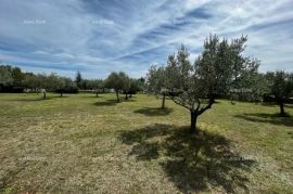 Građevinsko zemljište Lijepo građevinsko zemljište u blizini Vodnjana, Vodnjan, Land