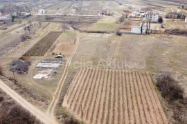 Imotski Donji Proložac 1900 m2 građevinsko zemljište - novo, Imotski, Terrain