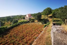 Imotski Lokvičići kamene kuće na parceli od 2035 m2 - ekskluziva, Imotski, Casa