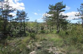 Imotski Grubine 4553 m2 građevinsko zemljište, Imotski, Terreno