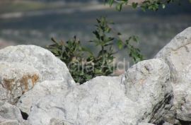 Imotski Grubine 4553 m2 građevinsko zemljište, Imotski, Terreno