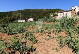 Građevinsko zemljište u okolici Motovuna!, Motovun, Tierra