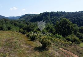 Građevinsko zemljište u okolici Motovuna!, Motovun, Земля