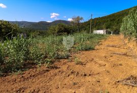 Građevinsko zemljište u okolici Motovuna!, Motovun, Tierra