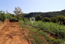 Građevinsko zemljište u okolici Motovuna!, Motovun, Terreno