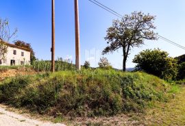 Građevinsko zemljište u okolici Motovuna!, Motovun, Terra