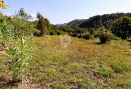 Građevinsko zemljište u okolici Motovuna!, Motovun, Land