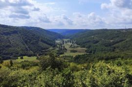 ISTRA, TINJAN - Građevinska parcela okružena zelenilom!, Tinjan, Terreno