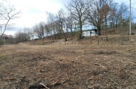 ISTRA,MOTOVUN(OKOLICA) - Građevinsko zemljište zadnje u građevinskoj zoni, Motovun, Terreno