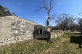 Kuća Stara kamena kuća u Istri, Buje, 5km od mora, Buje, Casa