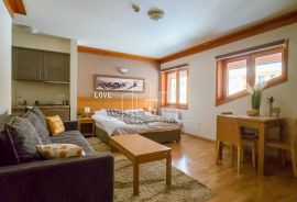 Apartman studio 28m2 Opremljen Prodaja Jahorina Vučko, Pale, Wohnung