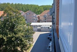 Krnjača, kod Poljoprivredne škole, Palilula, Appartement