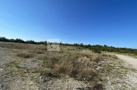 Istra građevinsko zemljište gospodarske namjene 40 000 m2!, Buzet, Terra