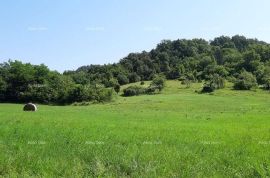 Kuća Prodaje se veliko imanje/stancija u središnjoj Istri, Pazin!, Pazin, Ev