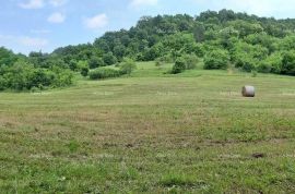 Kuća Prodaje se veliko imanje/stancija u središnjoj Istri, Pazin!, Pazin, Ev