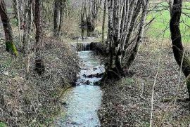 Kuća Prodaje se veliko imanje/stancija u središnjoj Istri, Pazin!, Pazin, Ev