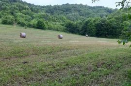 Kuća Prodaje se veliko imanje/stancija u središnjoj Istri, Pazin!, Pazin, Ev