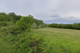 ISTRA, PIĆAN - Zemljište okruženo prirodom na mirnoj lokaciji, Pićan, Land