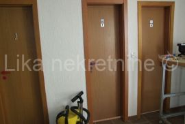 CESARICA - kuća s 4 apartmana,lokal, garaža, Karlobag, Σπίτι