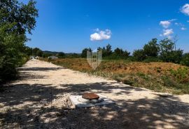 Prilika za investitore, zemljište sa pogledom na Motovun., Motovun, Земля