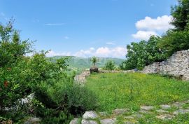 ISTRA, BUJE - Kamena kuća sa spektakularnim pogledom, Buje, Kuća