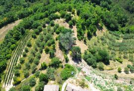 Cerovlje, okolica, imanje sa dvije kamene kuće i maslinicima na građevinskoj parceli, Cerovlje, Σπίτι