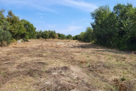 ISTRA, MARČANA - Građevinsko i poljoprivredno zemljište, Marčana, Land