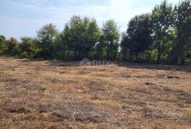 ISTRA, MARČANA - Građevinsko i poljoprivredno zemljište, Marčana, Land