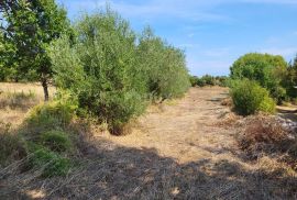 ISTRA, MARČANA - Građevinsko i poljoprivredno zemljište, Marčana, Terrain