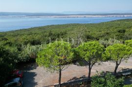 Dramalj kuća sa više stambenih jedinica, Crikvenica, Haus