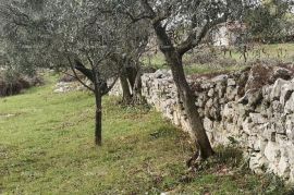 Građevinsko zemljište Prodaja građevinskog zemljišta sa pogledom na more, Fažana!, Fažana, Zemljište