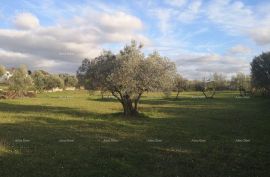 Građevinsko zemljište Prodaja građevinskog zemljišta sa pogledom na more, Fažana!, Fažana, Terrain