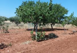 PRODAJA kuća sa bazenom Nadin, 339 m2, imanje 45922 m2, Benkovac, Famiglia