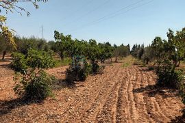 PRODAJA kuća sa bazenom Nadin, 339 m2, imanje 45922 m2, Benkovac, Famiglia