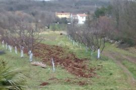 ISTRA, LABIN - Imanje na osami sa samostojećom kamenom kućom za renovaciju, Labin, Дом