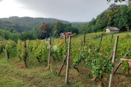 Starinska klijet sa vinogradom, Jalžabet, Casa