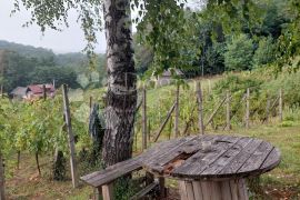 Starinska klijet sa vinogradom, Jalžabet, Casa