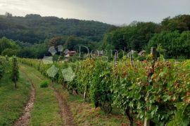 Starinska klijet sa vinogradom, Jalžabet, Casa