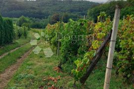 Starinska klijet sa vinogradom, Jalžabet, Casa