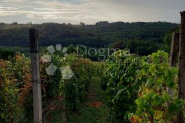 Starinska klijet sa vinogradom, Jalžabet, Casa