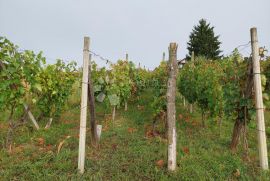 Starinska klijet sa vinogradom, Jalžabet, Casa