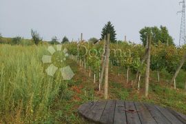 Starinska klijet sa vinogradom, Jalžabet, Casa