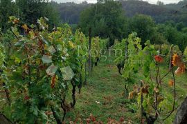 Starinska klijet sa vinogradom, Jalžabet, Casa