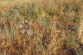 Građevinsko zemljište s otvorenim pogledom na more, Vodnjan, Land