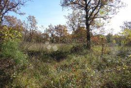 Građevinski teren blizu Grožnjana, Grožnjan, Land