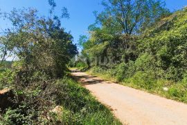 ISTRA, GROŽNJAN - Građevinsko zemljište 1186m2 u mirnom naselju, Grožnjan, Tierra